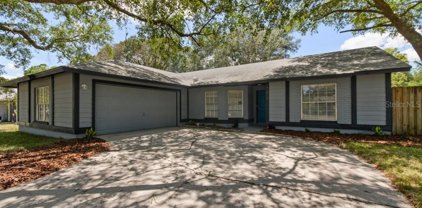 17610 Willow Pond Drive, Lutz