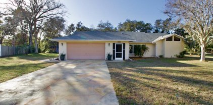 10051 Sleepy Willow Court, Spring Hill