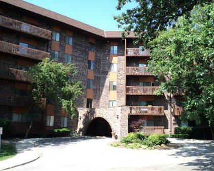 120 N Lakeview Drive Unit #424, Bloomingdale
