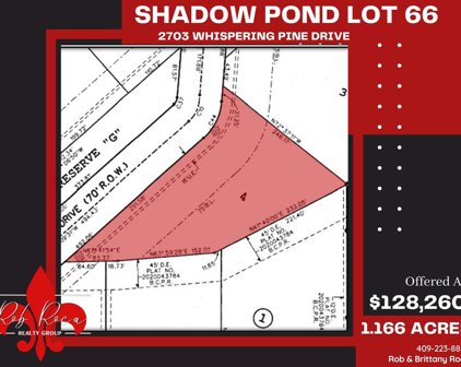 2703 Whispering Pine Drive, Alvin