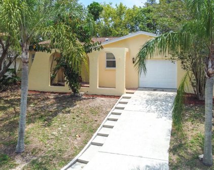 220 Talley Drive, Palm Harbor