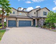 10408 Scarlet Chase Drive, Riverview image