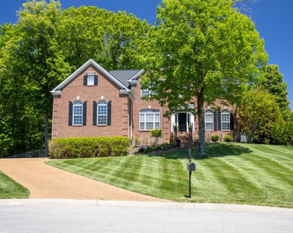 6104 Abington Ridge Ct, Franklin