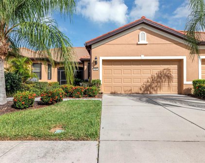 5807 Driftwood Falls Place, Apollo Beach