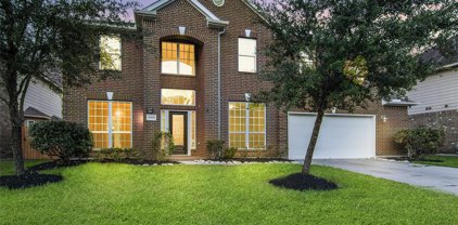 30550 Riverstone Springs Drive, Spring