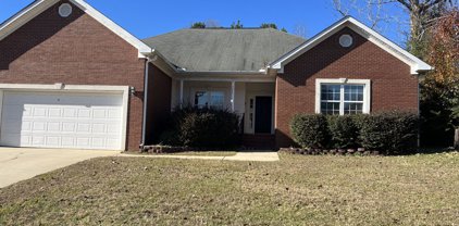 2042 SILVER RUN FALLS, Grovetown