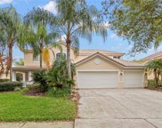 9210 Meadow Lane Court, Tampa image