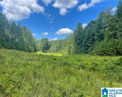 1050 County Road 329 Unit 185 Ac, Wedowee