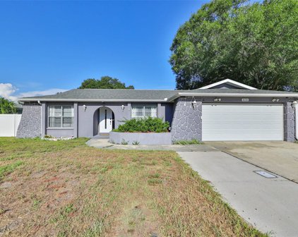 610 Limetree Drive, Oldsmar