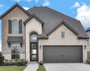 5138 Prairie Gourd Meadow, Manvel image