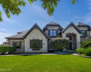 10715 Olde Mill Drive, Orland Park image