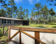 16848 Sw 35th Street, Ocala image