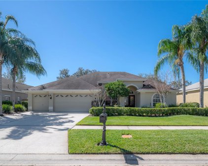 11918 Keating Drive, Tampa