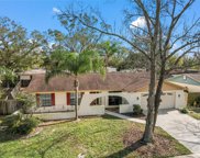 4212 Autumn Leaves Drive, Tampa image