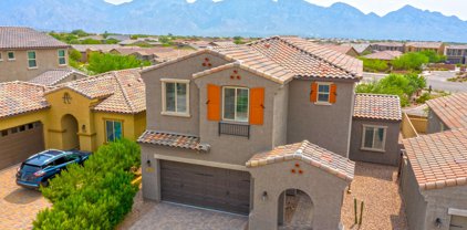 13366 N Cottontop, Oro Valley