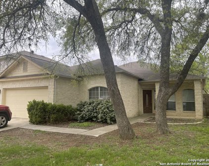 10819 Bramante Ln, Helotes