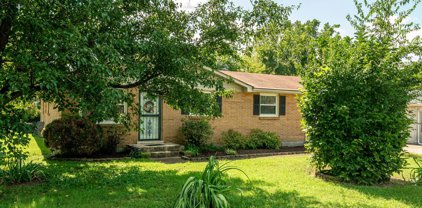 3212 Crislynndale Dr, Nashville