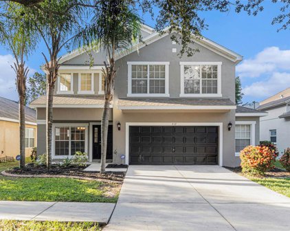 212 Fern Gulley Drive, Seffner