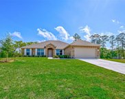 4321 Karam Landing, Dickinson image