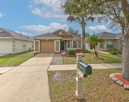 7529 Oxford Garden Circle, Apollo Beach