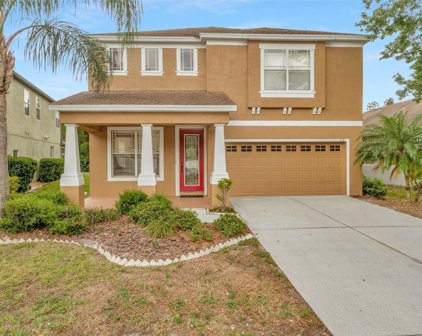 1118 Nashville Drive, Wesley Chapel