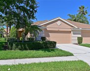 8211 Summer Greens Terrace, Bradenton image