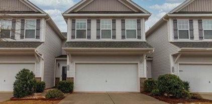 452 Tayberry  Lane, Fort Mill