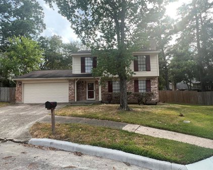 3219 Old Chapel Drive, Spring