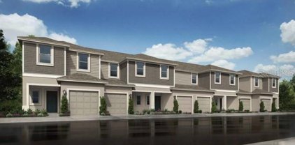 2366 Paravane Way, Wesley Chapel