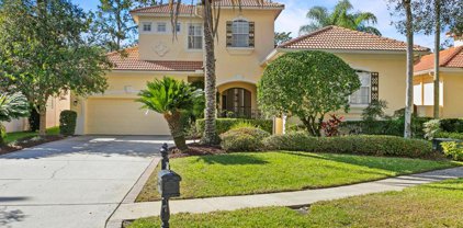 16614 Sedona De Avila, Tampa