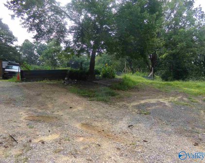 910 Swinging Bridge Road, Arab