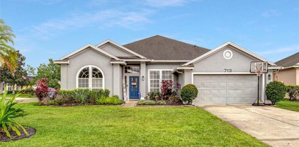 713 Hollybrook Court, Orlando