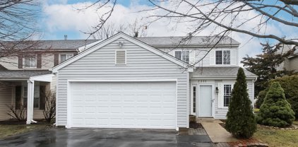 2331 Trowbridge Way, Lisle