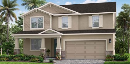 2310 Village Amble Loop, Lutz