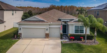 3820 Round Table Court, Land O Lakes