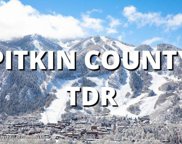 TDR TDR, Aspen image