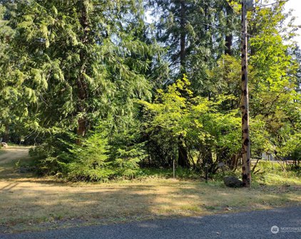 0 Lot 6 Crescent Beach Drive, Packwood