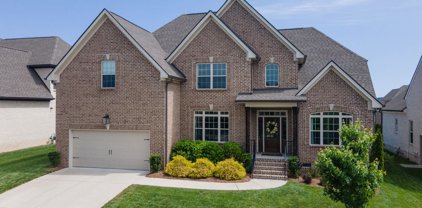 1009 Alpaca Dr, Spring Hill