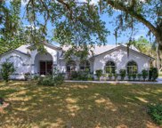 2627 Needle Palm Drive, Edgewater image