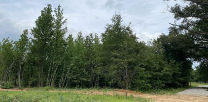 16737 Ridgeline Loop, Winona