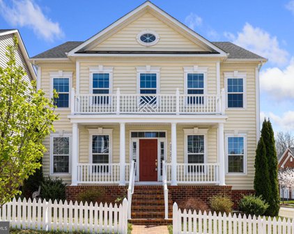 22351 Sweetspire Dr, Clarksburg