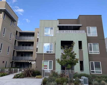 45228 Tom Blalock Common Unit #110, Fremont