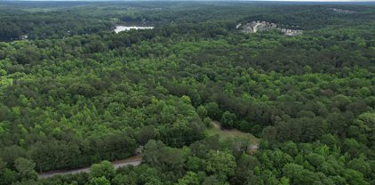 1396 Norris Lake Drive, Snellville