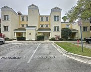 1310 Seven Eagles Court Unit 101, Reunion image
