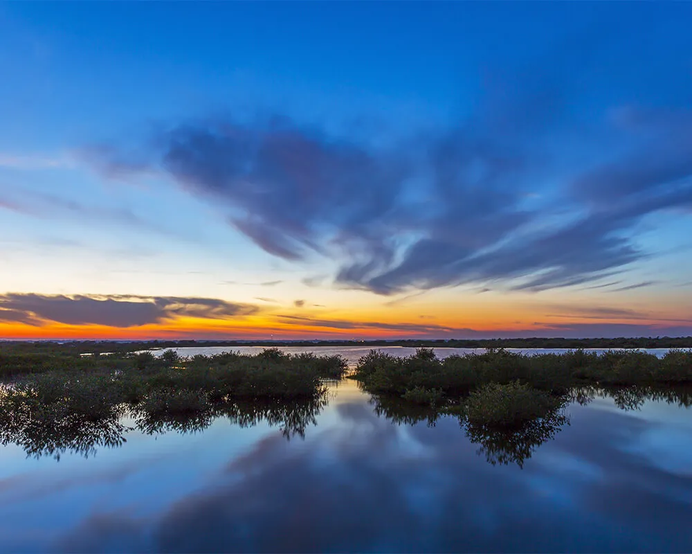 Merritt Island Real Estate
