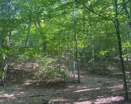 Adventure Mountain  Rd, Montvale