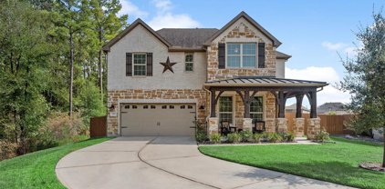 4408 Imperial Gardens Drive, Spring