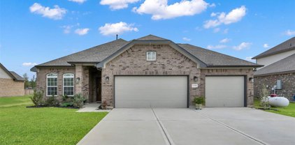 12348 N Chestnut Hills Drive, Conroe