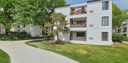 330 W Miner Street Unit #1C, Arlington Heights
