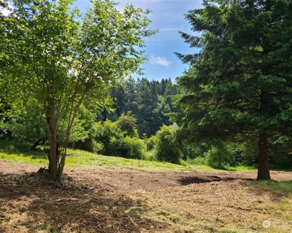 Hansen Street, Tumwater
